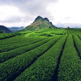 Tour du lịch Hà Nội - Sơn La - Mường Phăng - Điện Biên - Sapa 5 Ngày 4 đêm